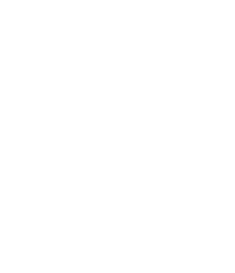 CodeThreat Logo